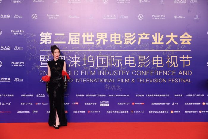 柳岩闪耀上汽大众帕萨特pro之夜，黑色礼服加冕影后桂冠